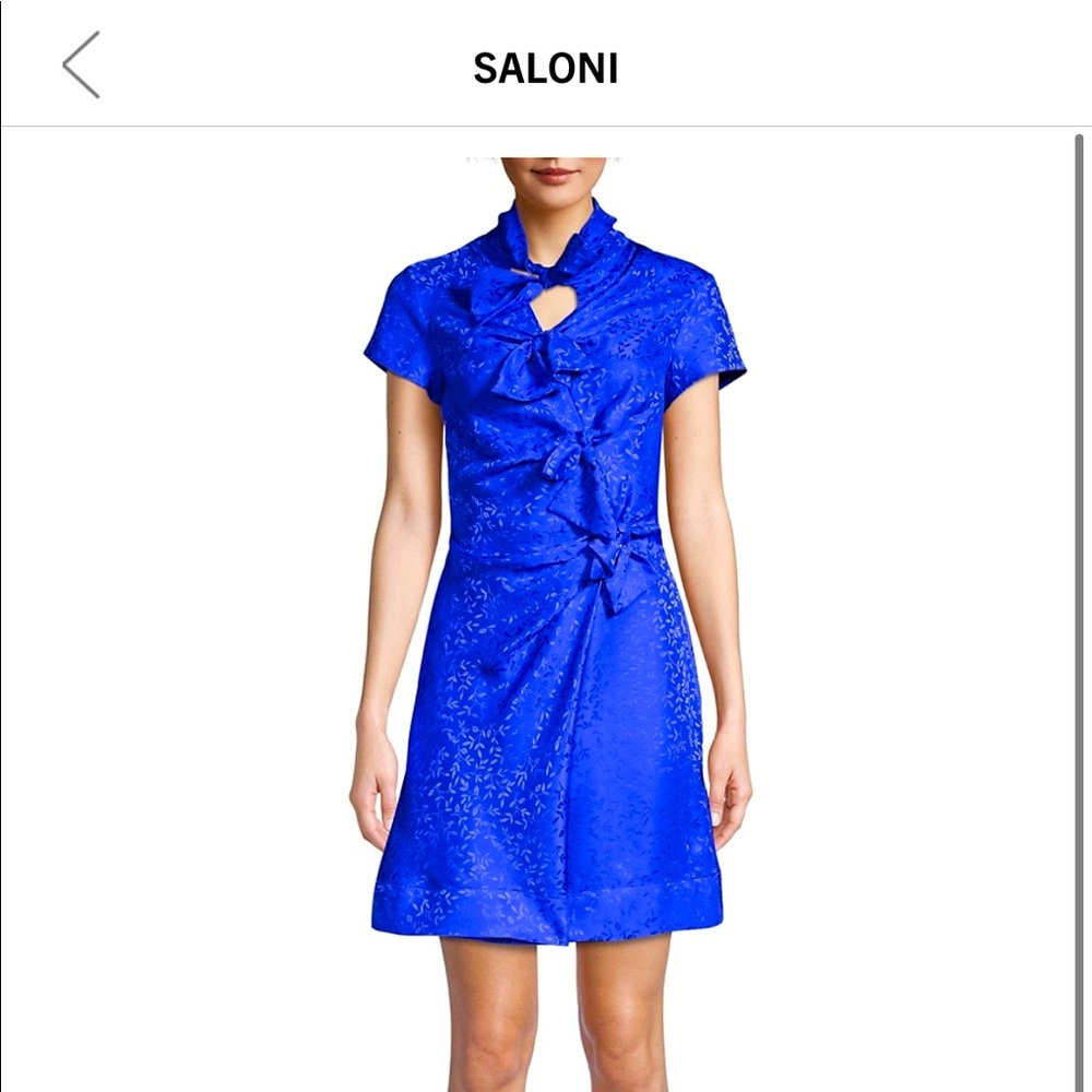 Silk Saloni dress - never worn/new with tags